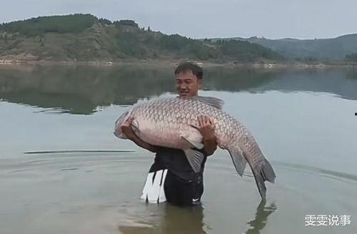 青鱼视频国产在线,国产在线影视盛宴,尽享视听盛宴